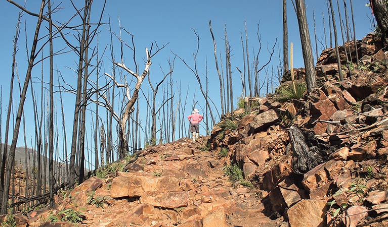 Belougery Split Rock walking track, Warrumbungle National Park. Photo &copy; Sue Brookhouse