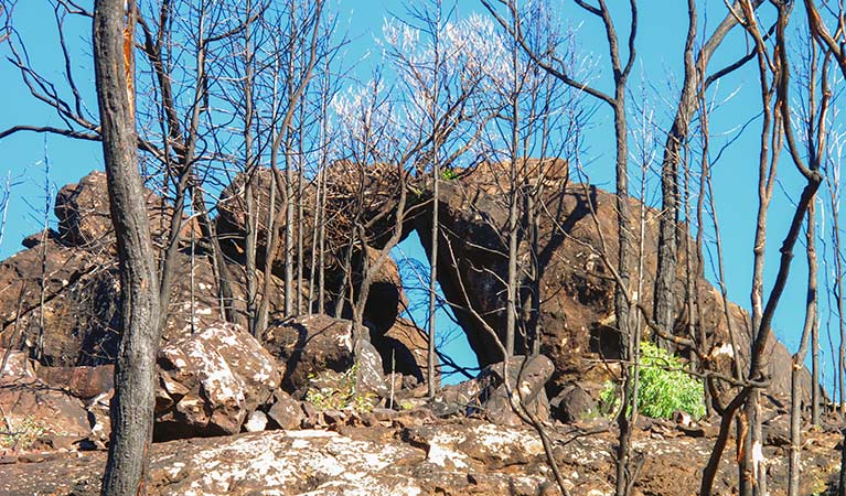 Burbie Canyon walking track, Warrumbungle National Park. Photo &copy; Sue Brookhouse