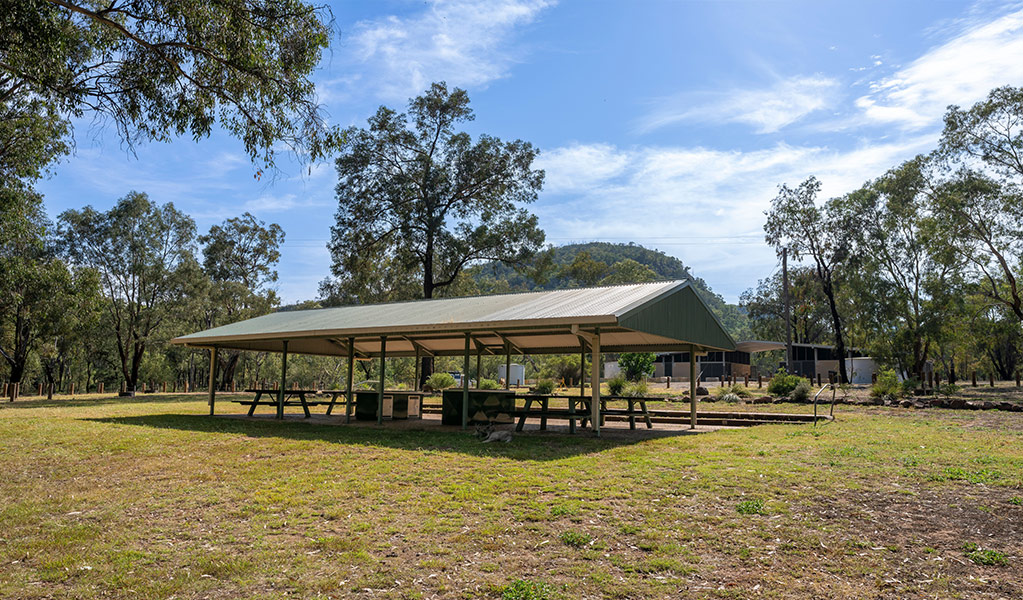 Barbecues and picnic tables under a shelter at Camp Blackman. Credit: John Spencer &copy; DCCEEW