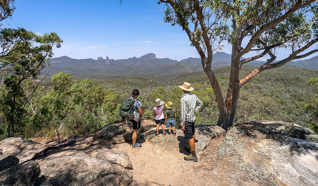A family with young kids enjoying views of the volcanic landscape at Whitegum lookout. Credit: John Spencer &copy; DCCEEW