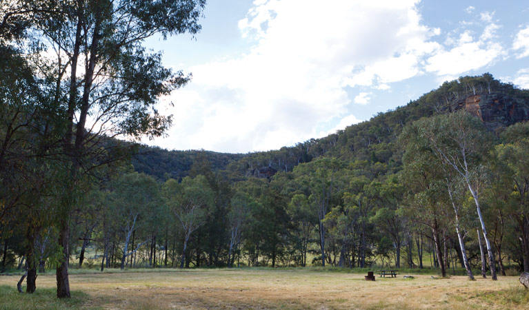 Camp Waalay, Warrumbungle National Park. Photo: Rob Cleary/DPIE