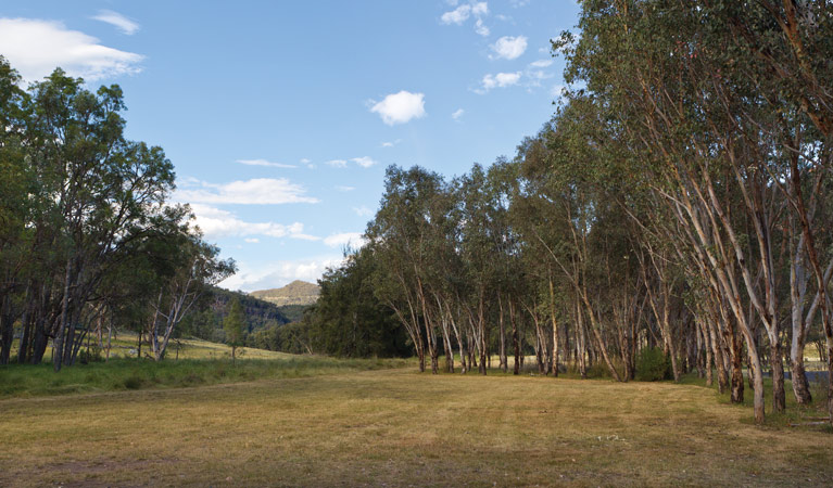 Camp Waalay, Warrumbungle National Park. Photo: Rob Cleary/DPIE