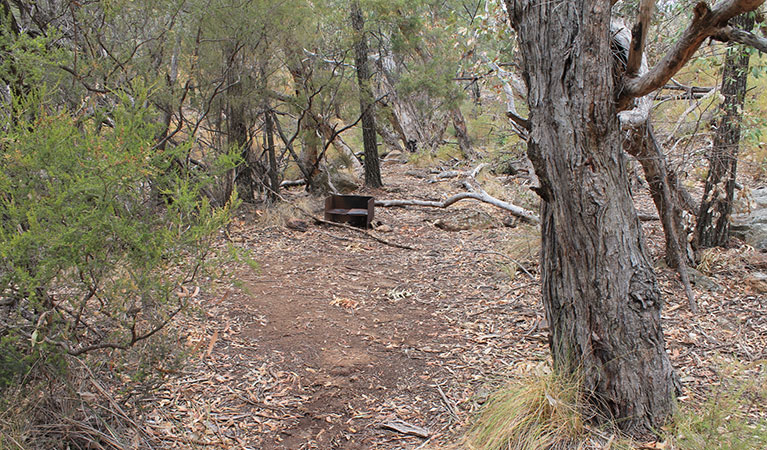 Woodland with a bush camp clearing and wood barbecue at Dows camp. Photo: Blake McCarthy &copy; DPIE