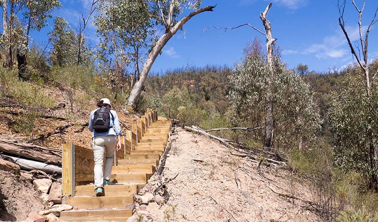 A woman climbs wooden steps on Fans Horizon walking track in Warrumbungle National Park. Photo: Leah Pippos &copy; OEH