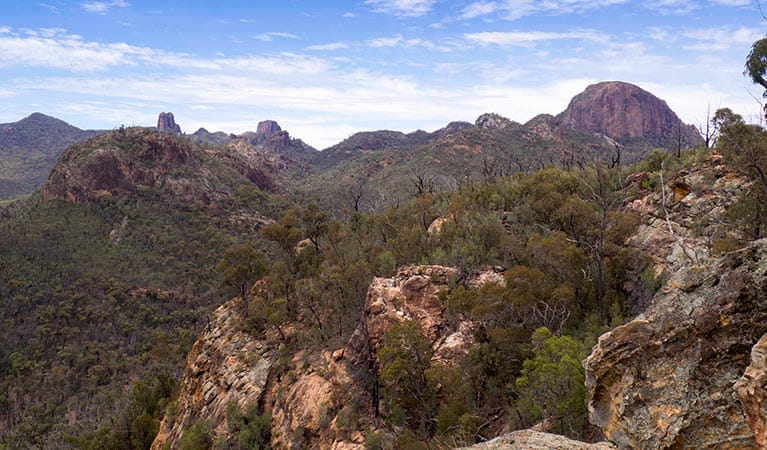 Views of rocky crags, spires and domes in Warrumbungle National Park. Photo: Leah Pippos/OEH.