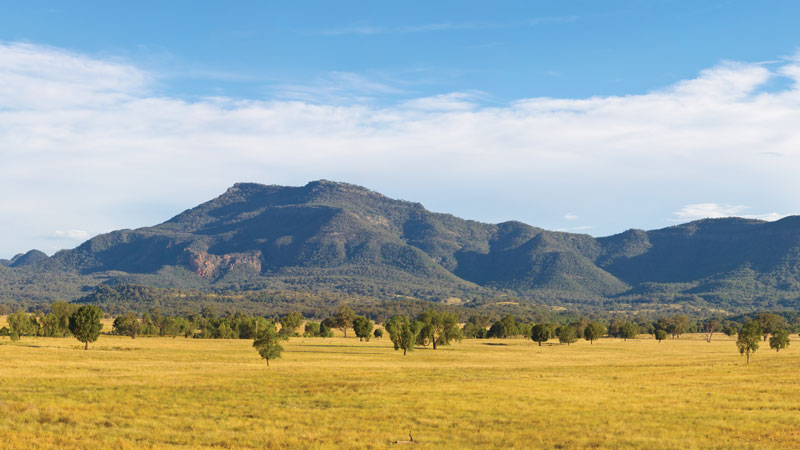 Golden Plains, Warrumbungle National Park. Photo: Rob Cleary