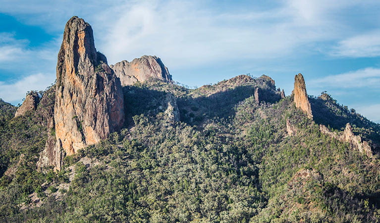 View of volcanic spires and domes emerging from dry forest in Warrumbungle National Park. Photo: Simone Cottrell &copy; RGB