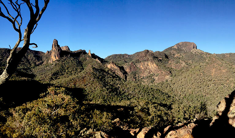 View past a rocky ledge to spires and domes on wooded mountain slopes. Photo: May Fleming &copy; May Fleming