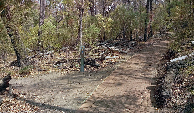 Park sign for Hurleys camp along the paved Breadknife and Grand High Tops walk, in Warrumbungle National Park near Coonabarabran. Photo: Blake McCarthy &copy; DPIE