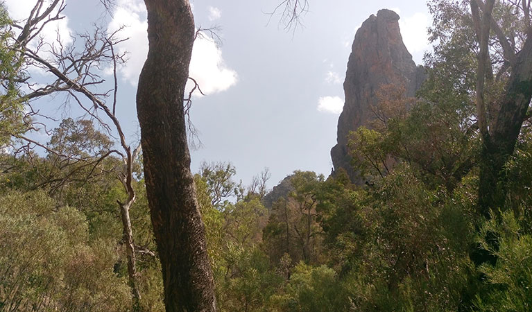 Bushland on a clear day with Belougery Spire in the background. Photo: Blake McCarthy &copy; DPIE