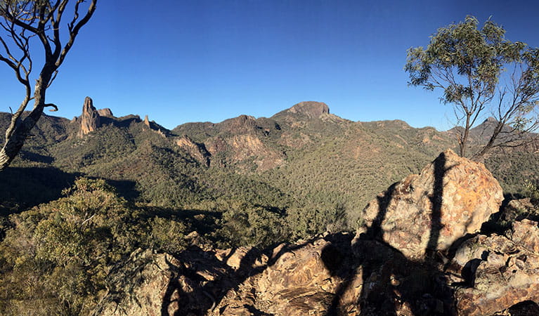Panorama of rugged mountain peaks and domes in Warrumbungle National Park. Photo: May Fleming &copy; May Fleming