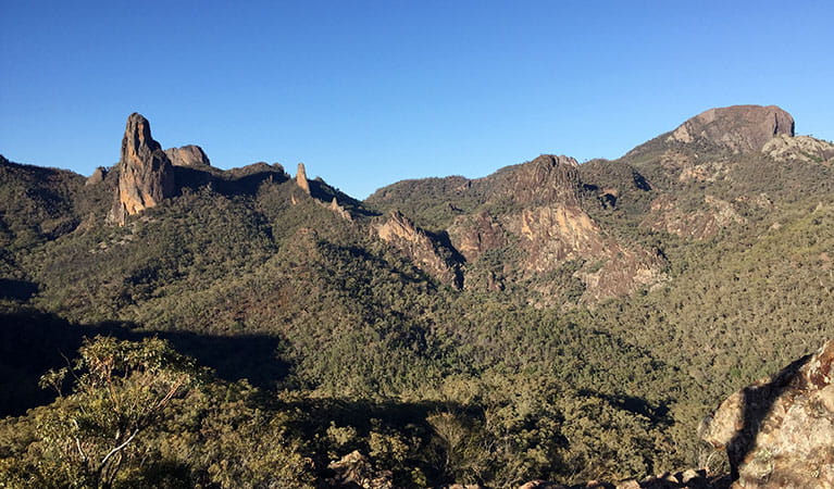 View over rocky ledge to volcanic Warrumbungles peaks and domes, covered in forest. Photo: May Fleming &copy; May Fleming