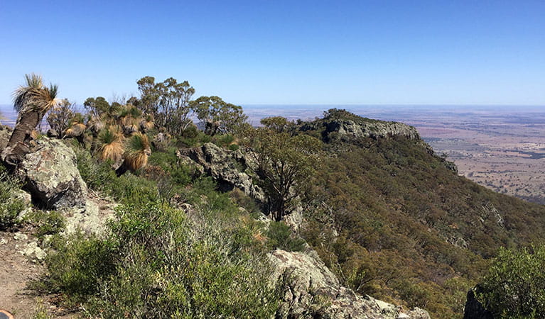 View of grass trees, rocky summit and distant plains. Photo: May Fleming &copy; May Fleming