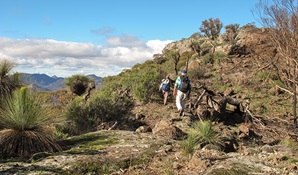 Mount Exmouth walking track, Warrumbungle National Park. Photo &copy; Sue Brookhouse