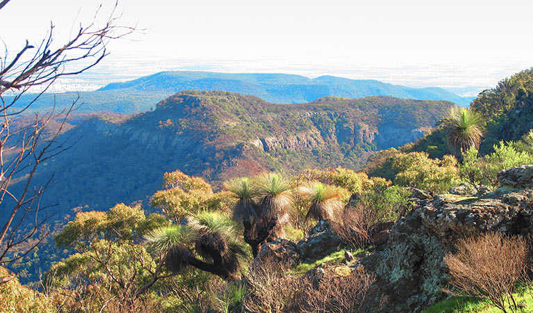 Mount Exmouth walking track, Warrumbungle National Park. Photo &copy; Sue Brookhouse