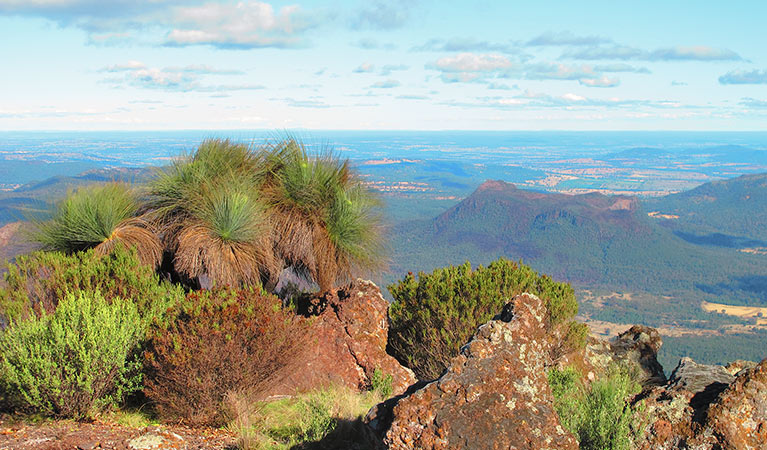 Mount Exmouth walking track, Warrumbungle National Park. Photo &copy; Sue Brookhouse