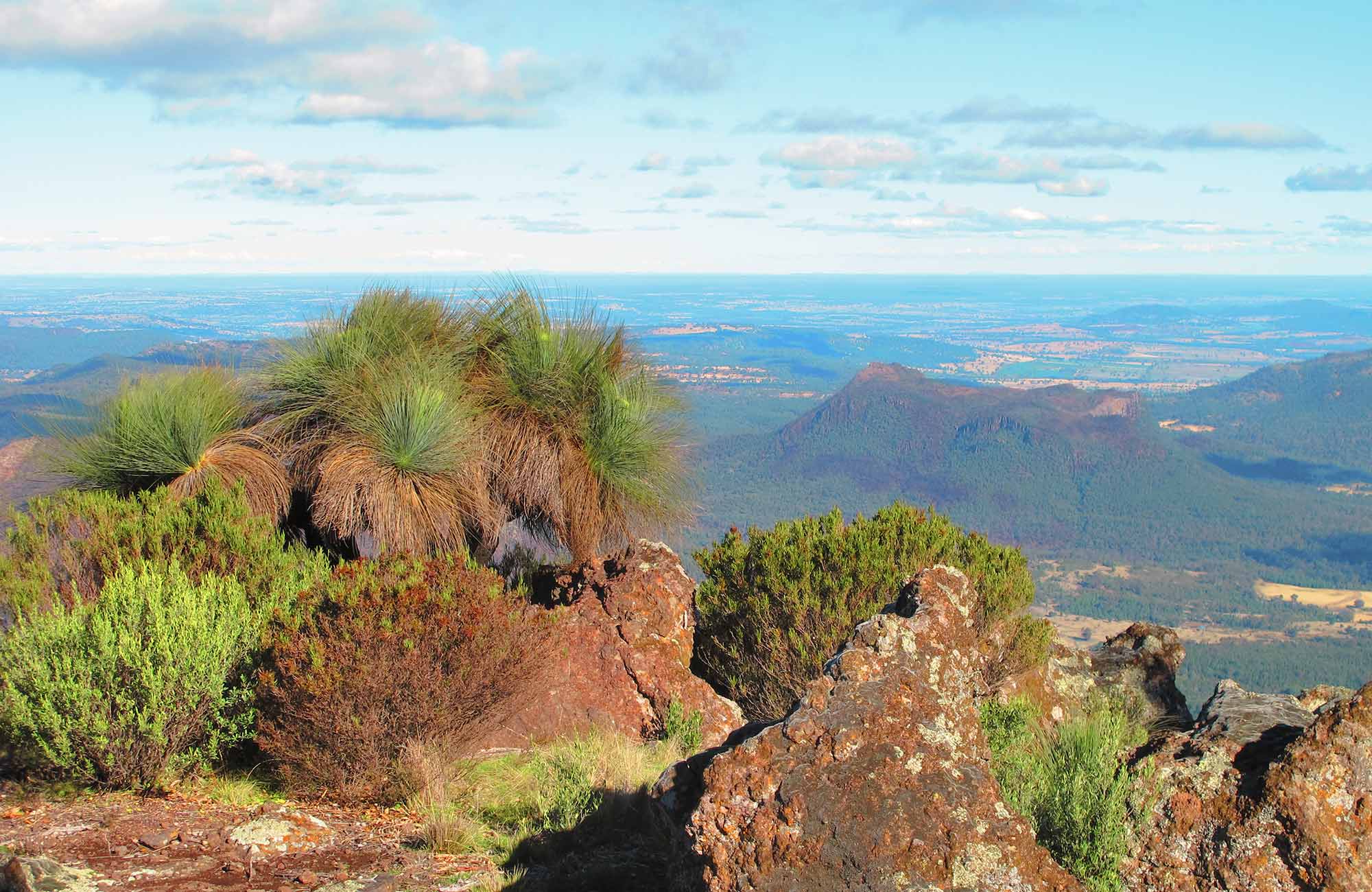 Mount Exmouth Walking Track Nsw National Parks