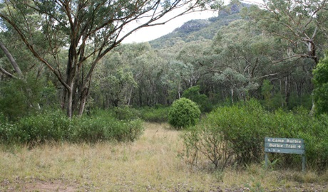 Burbie Camp, Warrumbungle National Park. Photo: OEH