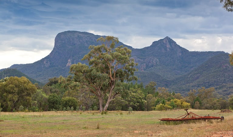 Historic farming equipment at Gunneemooroo campground in Warrumbungle National Park. Photo: Rob Cleary/DPIE