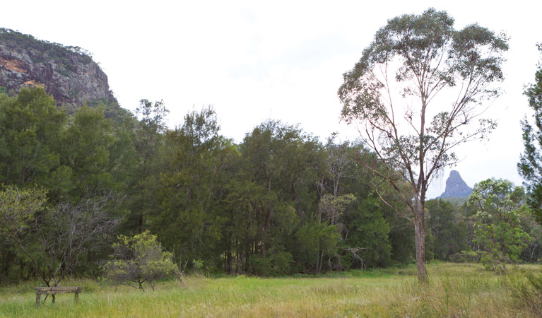 Gunneemooroo campground, Warrumbungle National Park. Photo: Rob Cleary/DPIE