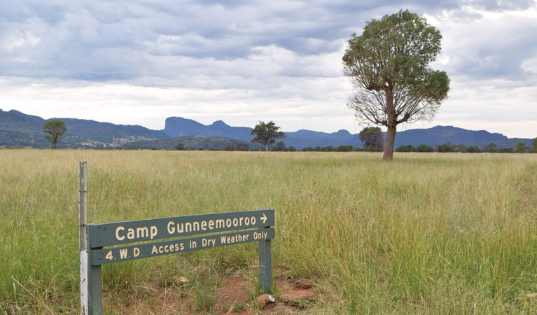 Gunneemooroo campground, Warrumbungle National Park. Photo: Rob Cleary/DPIE