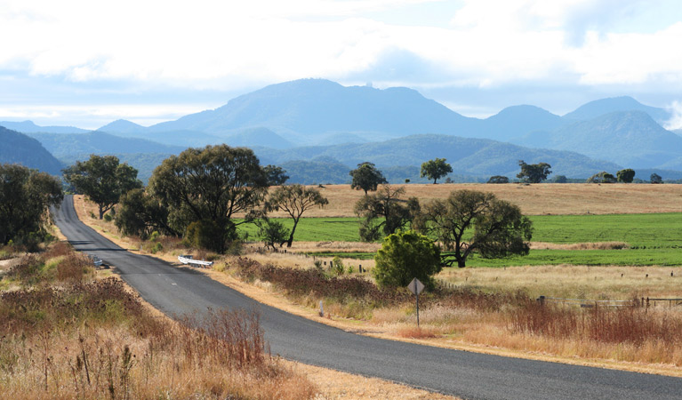 Coonabarabran car touring route, Warrumbungle National Park. Photo: OEH