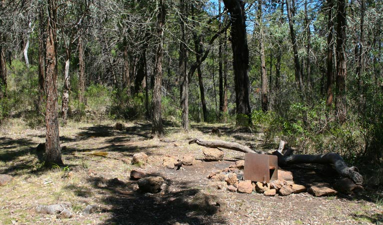 Ogma campground, Warrumbungle National Park. Photo:Dina Bullivant/NSW Government