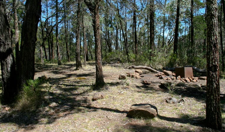 Ogma campground, Warrumbungle National Park. Photo:Dina Bullivant/NSW Government