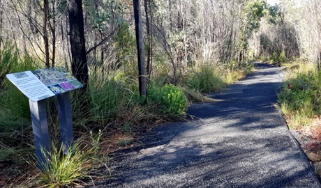 Whitegum lookout walking track, Warrumbungle National Park. Photo: Blake McCarthy &copy; DPE