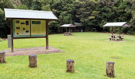 Coachwood picnic area, Washpool National Park. Photo &copy; Rob Cleary