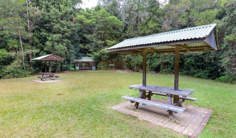 Picnic shelters at Coachwood picnic area in Washpool National Park. Photo: Rob Cleary &copy; OEH