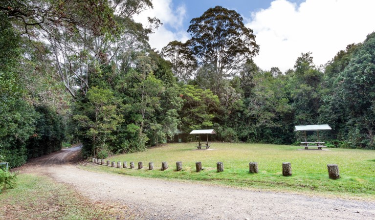 The road to Coachwood picnic area with picnic shelters in the distance in Washpool National Park. Photo: Rob Cleary &copy; OEH