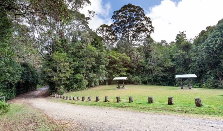 The road to Coachwood picnic area with picnic shelters in the distance in Washpool National Park. Photo: Rob Cleary &copy; OEH