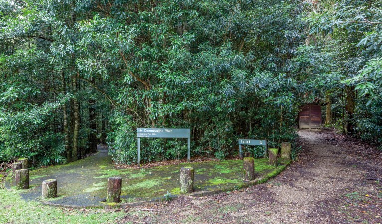 The start of Coombadjha nature stroll which begins from Coachwood picnic area in Washpool National Park. Photo: Rob Cleary &copy; OEH