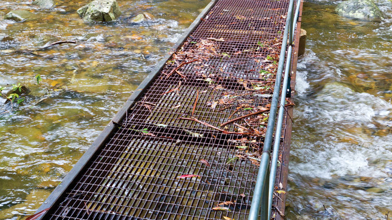 Foot bridge over the creek at Coombadjha campground. Photo &copy; Rob Cleary