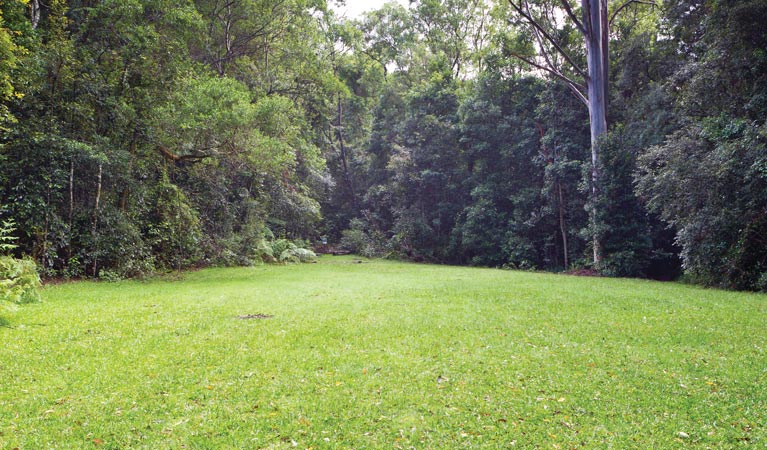 Coombadjha campground, Washpool National Park. Photo: Rob Cleary/DPIE