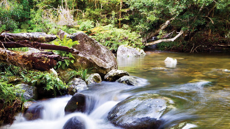 Water and rocks of Coombadjha creek, Washpool National Park. Photo: Rob Cleary.