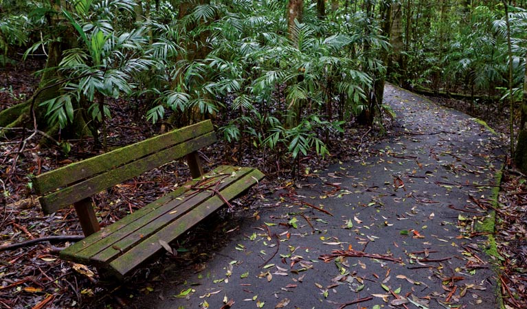 Coombadjha Walk, Washpool National Park. Photo &copy; Rob Cleary