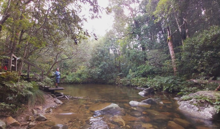 A man looking out over Coombadjha Creek on Coombadjha nature stroll in Washpool National Park. Photo: Leah Pippos &copy; DPE