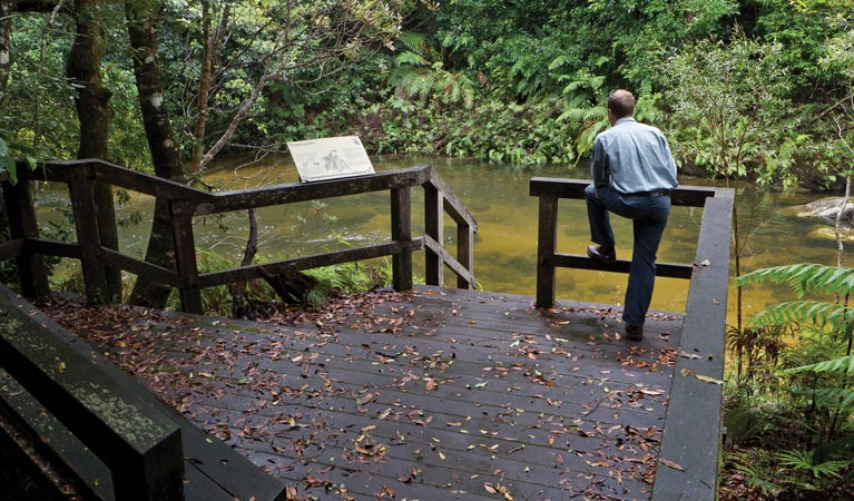 Coombadjha nature stroll, Washpool National Park.  Photo &copy; Rob Cleary