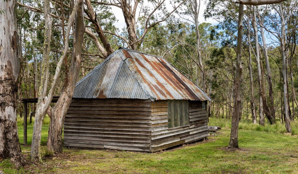 Historic McClifty’s Hut, located just metres away from Four Bull Hut in Washpool National Park. Photo &copy; DPE