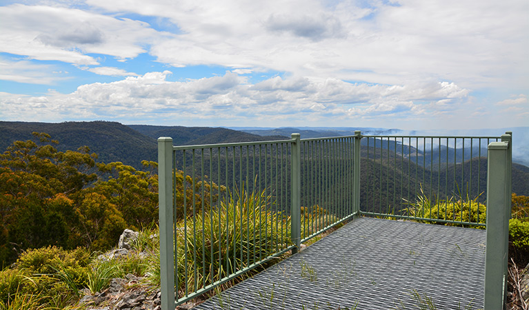 Billyrimba lookout, Washpool National Park. Photo: Ann Richards/DPIE