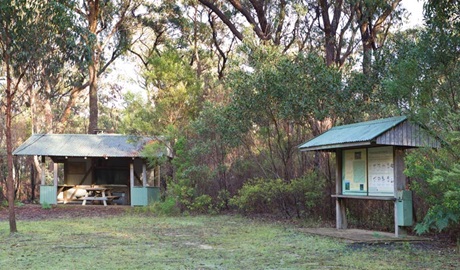 Granite picnic area, Washpool National Park. Photo &copy; Rob Cleary