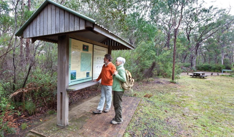 Two people looking at the interpretive signs at Granite picnic area in Washpool National Park. Photo: Rob Cleary &copy; OEH
