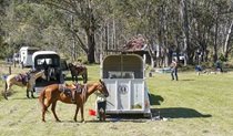 Horse riding trails, Washpool National Park. Photo: Michael Lieberman