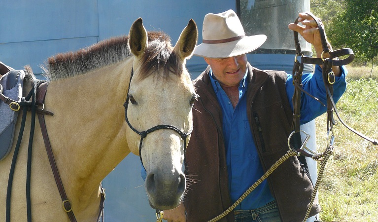 Horse rider and float, Washpool National Park horse riding trails. Photo: G Lightbody/OEH