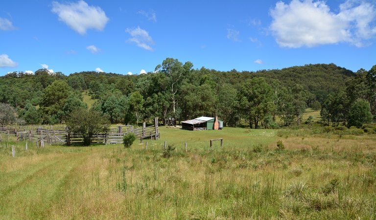 Four Bull hut in valley. Photo: A Richards/OEH 