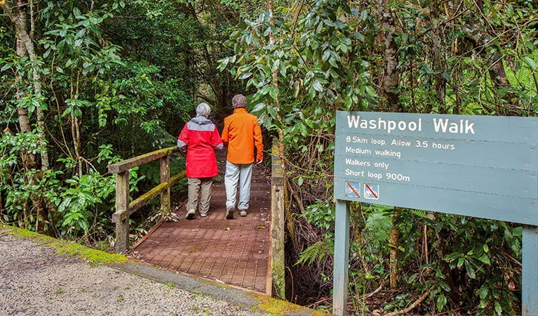 Washpool walking track, Washpool National Park. Photo: Rob Cleary &copy; OEH