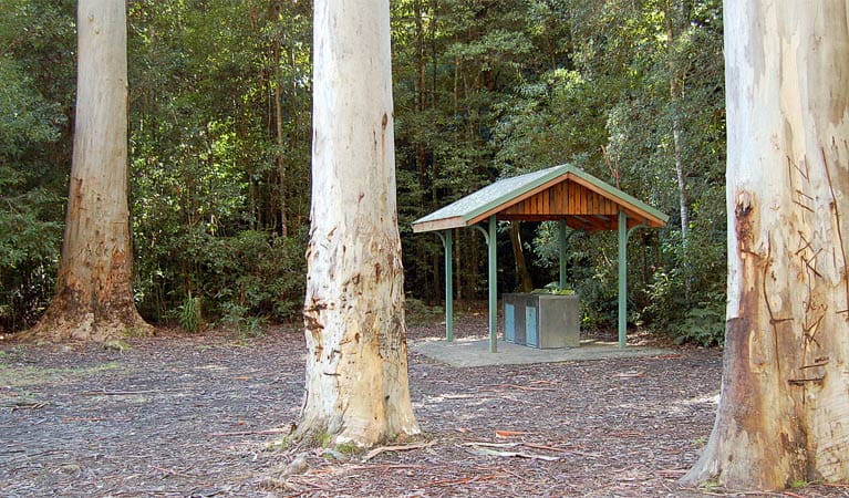Barbecue shelter, Watagans National Park