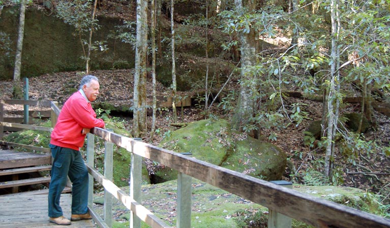 Walkway, Watagans National Park